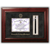 From Concordia University diploma